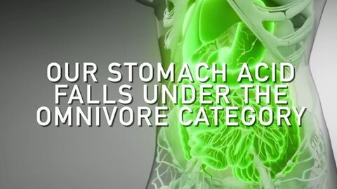 What Humans Should Be Eating! Eric Berg MUST WATCH