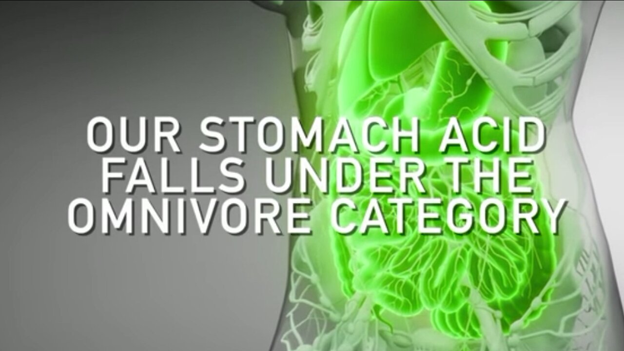 What Humans Should Be Eating! Eric Berg MUST WATCH