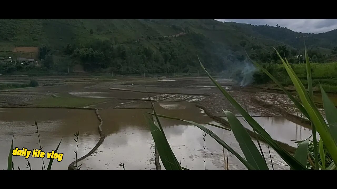 storm effect | daily life vlog