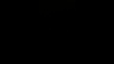 Database