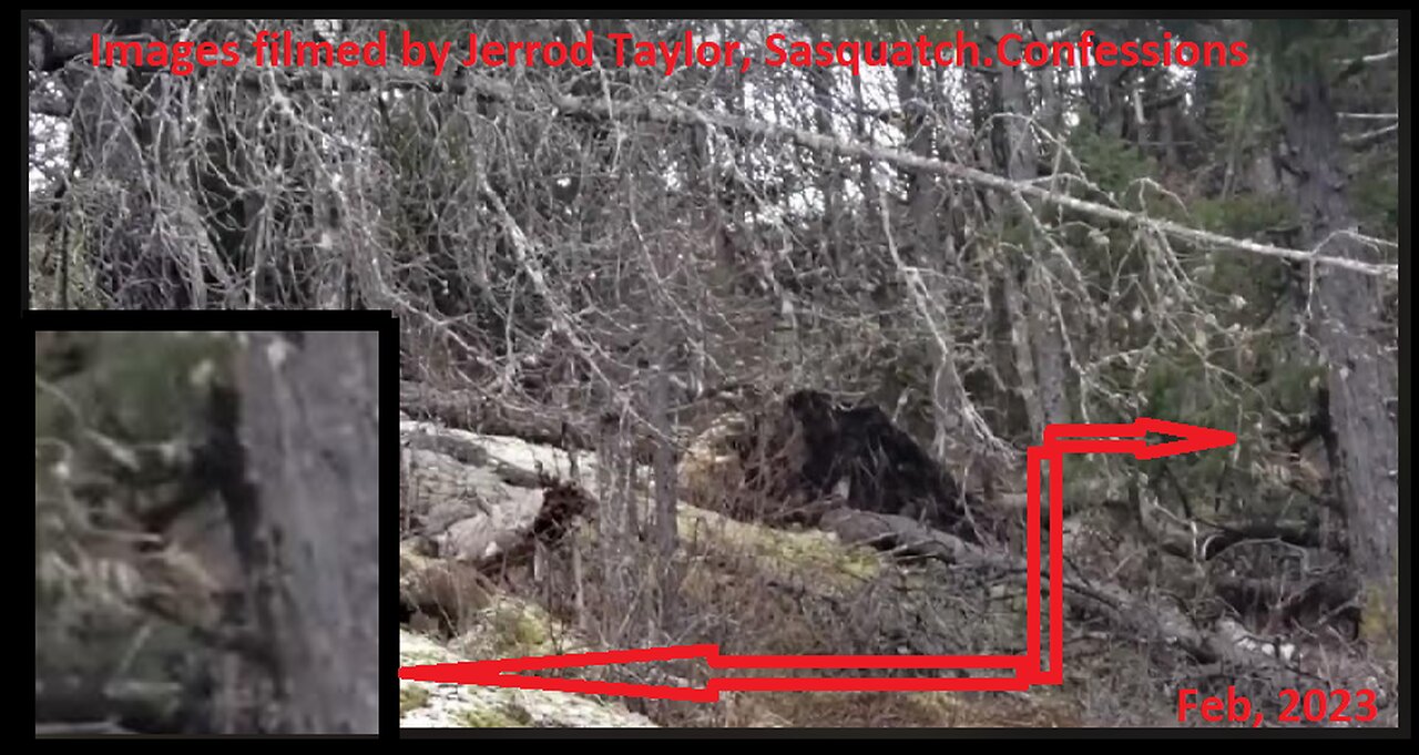 Sasquatch.Confessions Films a Clan of Dogman? Plus MORE!