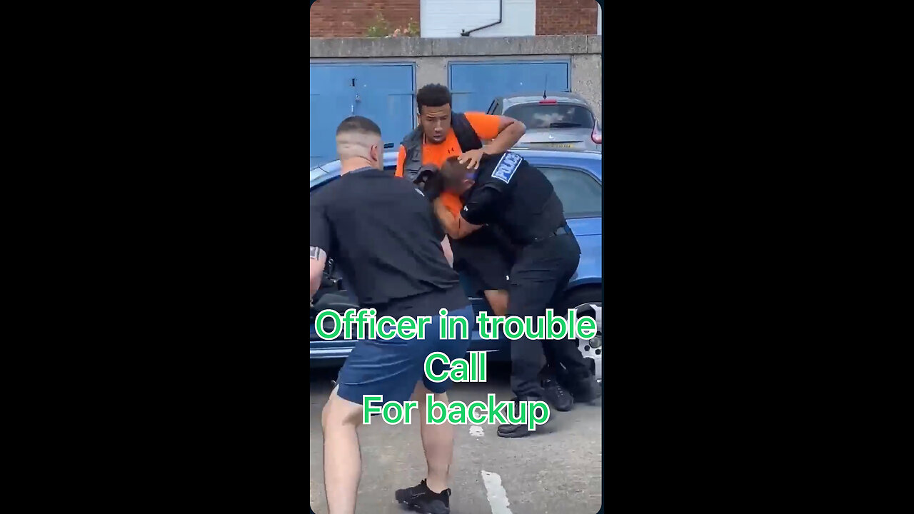 Police officer gets into a fight