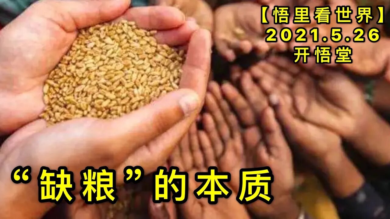 KWT1785“缺粮”的本质20210526-3【悟里看世界】