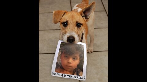 Can We Really Be That Blind ?