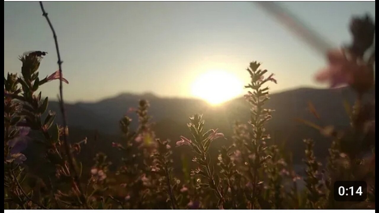 In To The Nature /Cinmitic scene/