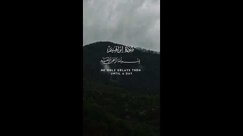 Abdulrahman Mossad Beautiful recitation of surah Ibrahim