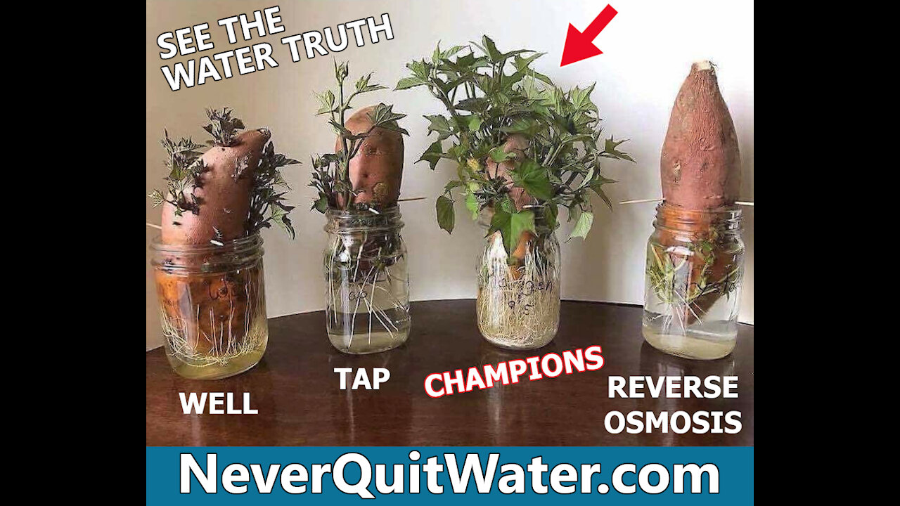 Best Water in the World: 'Never Quit Water'