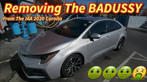 Removing The Badussy From The IAA 2020 Toyota Corolla, Let's Get It Cleaned Up