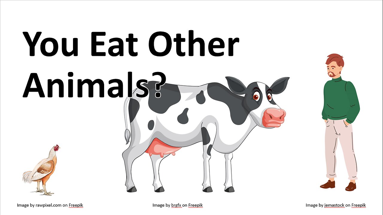 You Eat Other Animals?