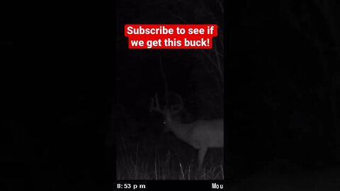 Georgia Hitlist Buck!