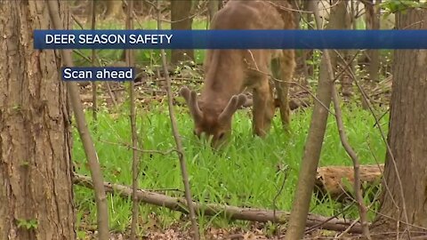 OSHP warns drivers of increased deer sightings