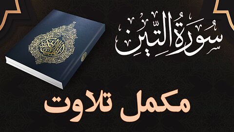 Quran Surah At-Tin | Full With Arabic Text | Quran Surah Wise| 95-سورۃ التین
