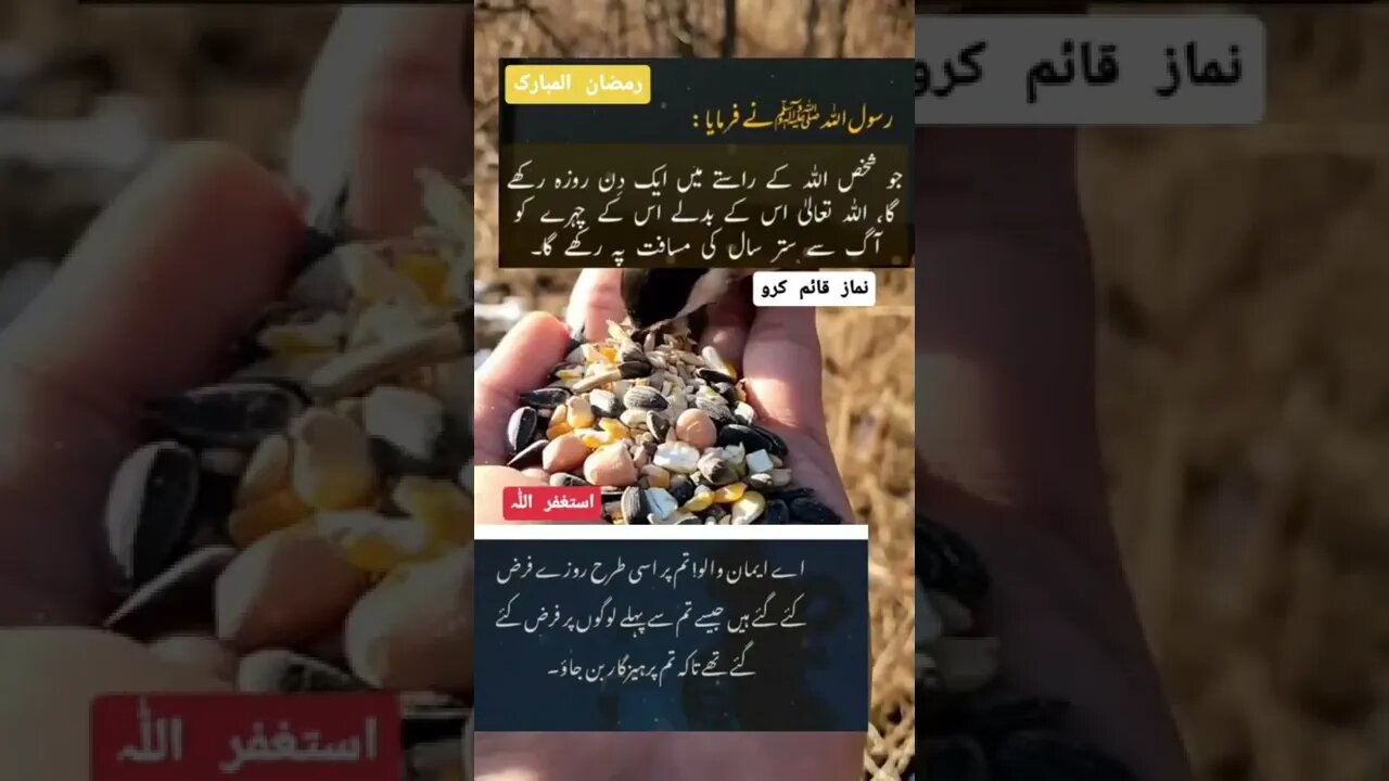 World Info Point l informative videos l #information #trending #amazing #intresting #shorts #health