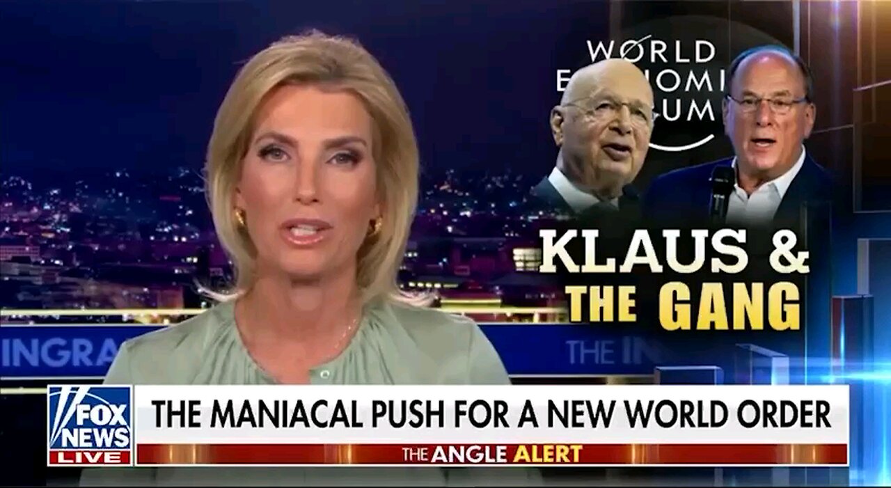 Fox News guest PERFECTLY summarises the World Economic Forum's 'Great Reset' Agenda: in 1 Minute!