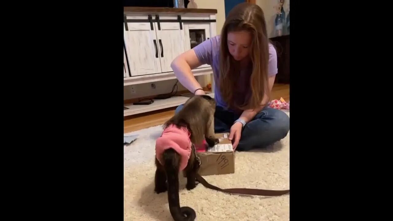 Famous Gaitlyn Rae Live Stream #GaitlynRae #FamousGaitlynRae