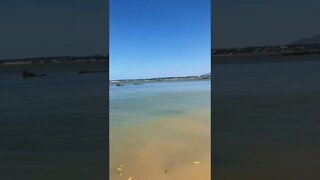 Praia Grande em Fundão