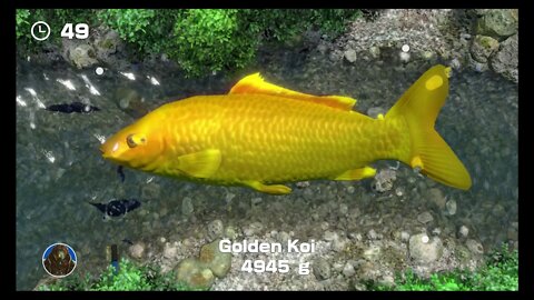 Clubhouse Games: 51 Worldwide Classics (Switch) - Game #43: Fishing