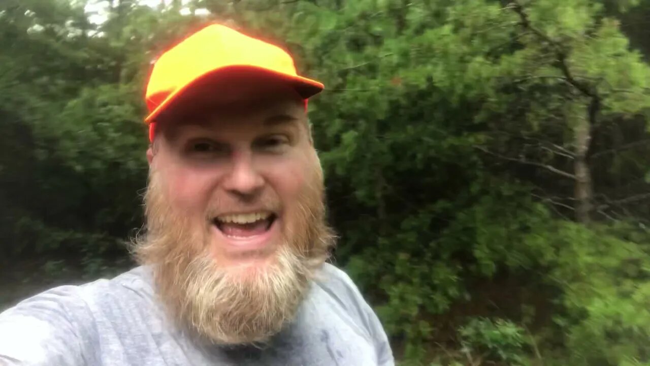 What to do Before Surveying Your Land? Safety With The Bears