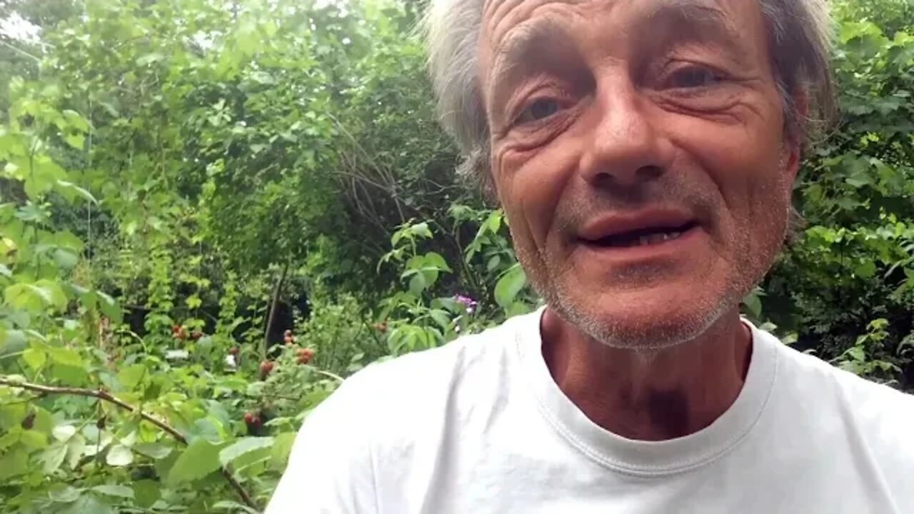 "Ehrliche LÜGEN?" (ungeordnete Gedanken)