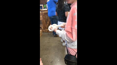 Snakes!