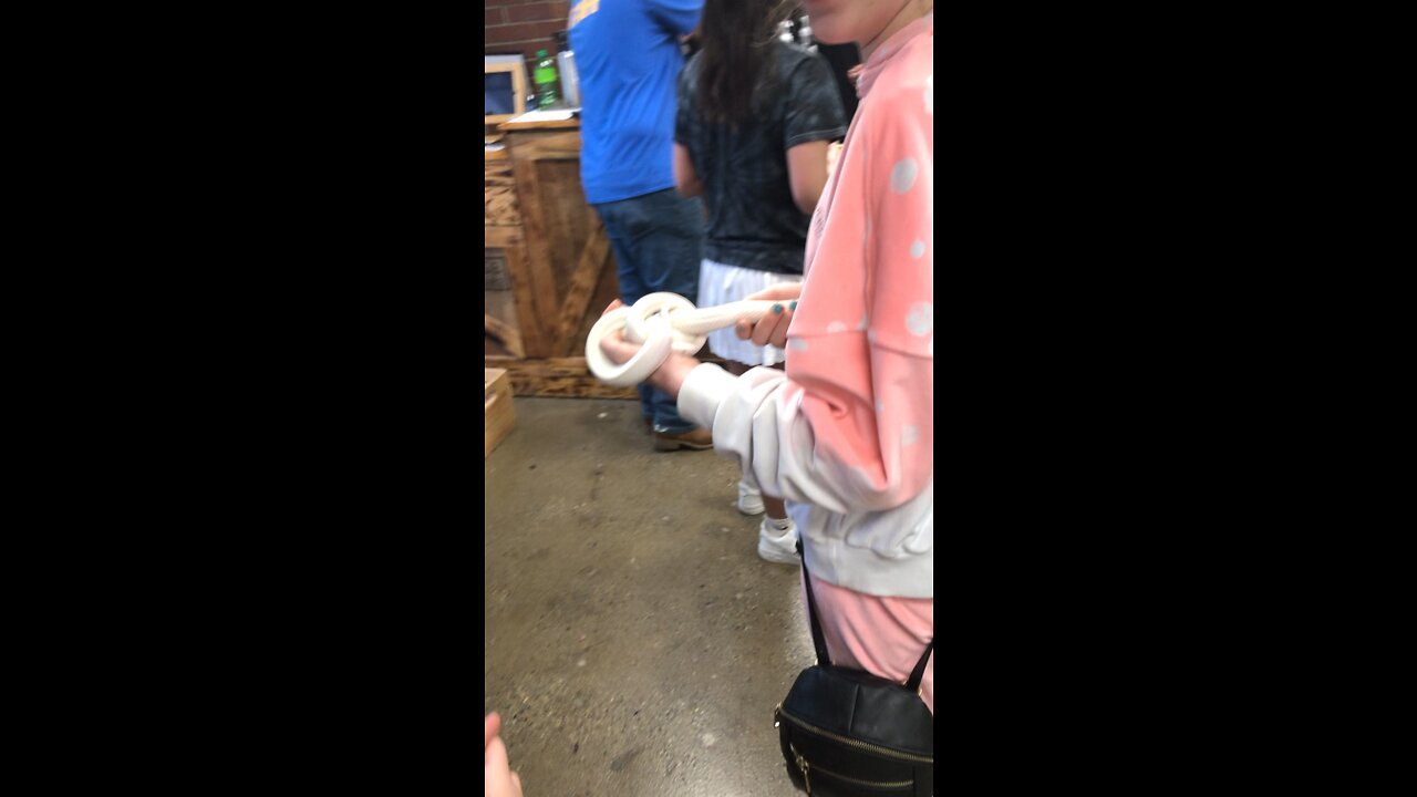 Snakes!