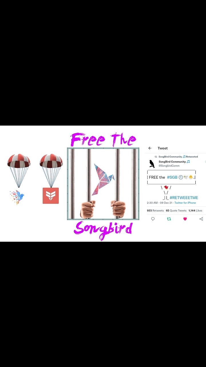 Free The Songbird ($SGB) Exchange Issues CanaryX Snapshop Dec. 12th Airdrop Dec. 15th Flare Hiring
