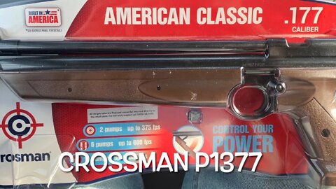 Crosman American Classic model P1377 pellet pistol 10 pump with Gamo and Daisy pellets first shots
