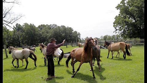 Tennessee Sheriff's Office Faces Scrutiny for Stealing Livestock Without a Warrant