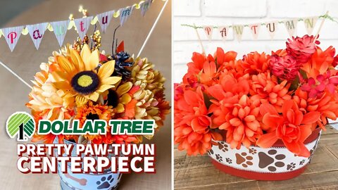 Dollar Tree DIY Pretty Paw-tumn Centerpiece