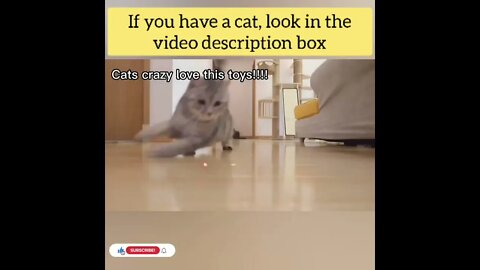 cute cat videos 😹 funny videos 😂115