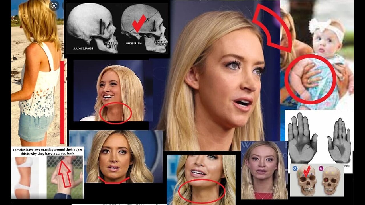 Mr. Kayleigh Mcenany