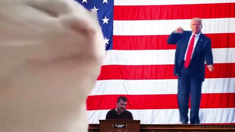 Trump dancing while the clown January six committee is mumbling