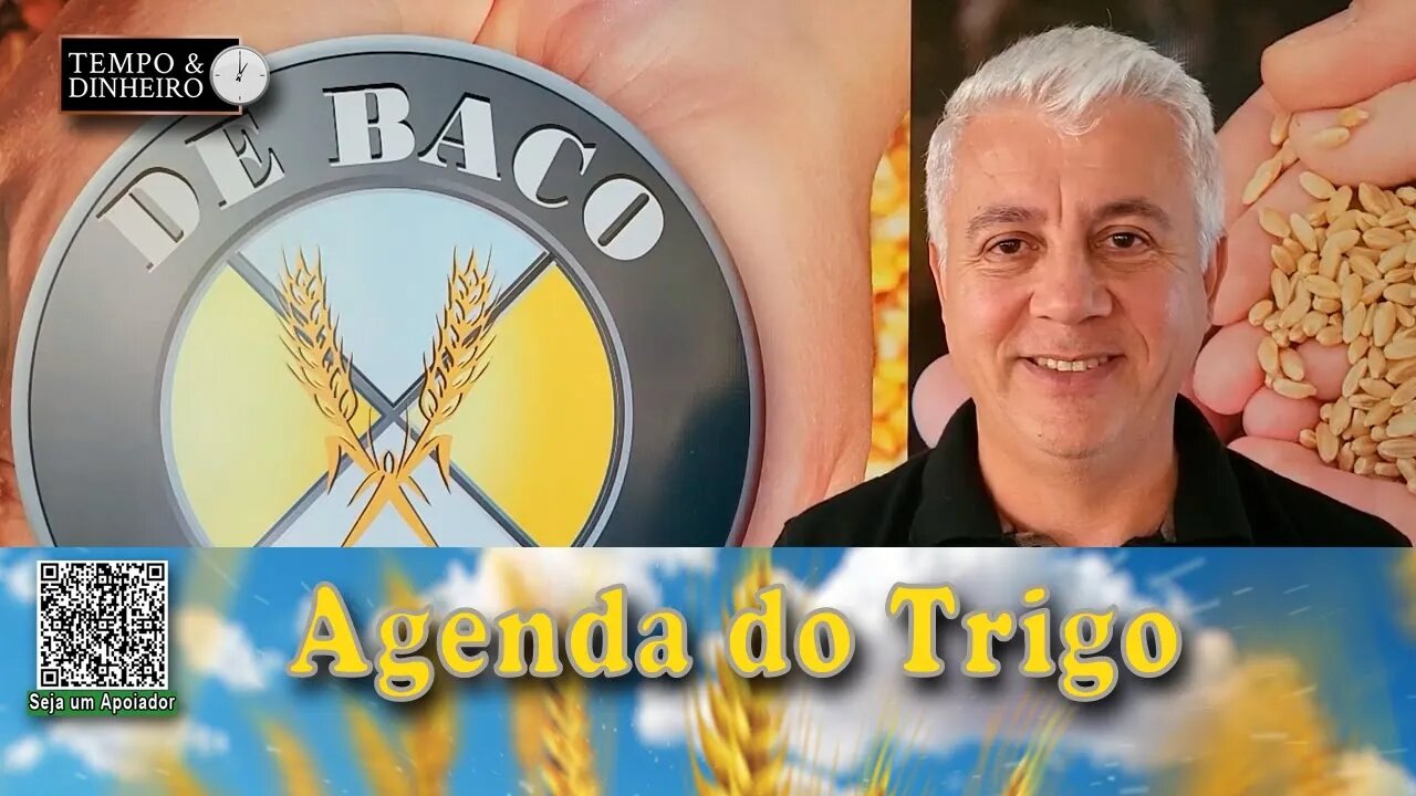 O Dólar se fortalece em dia de aversão ao risco...