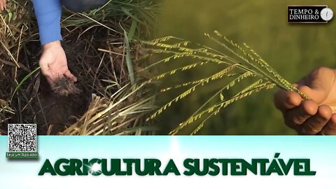 Agricultura Sustentável - com Frederico Olivi @Riza Sementes