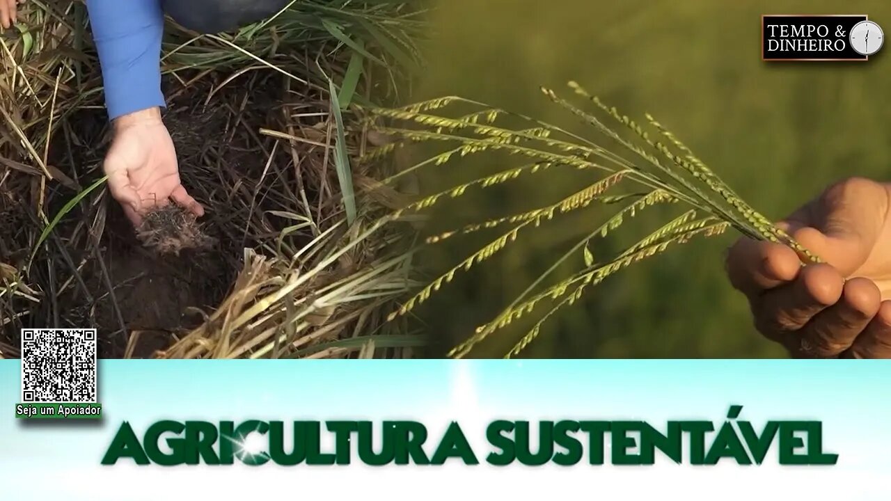Agricultura Sustentável - com Frederico Olivi @Riza Sementes
