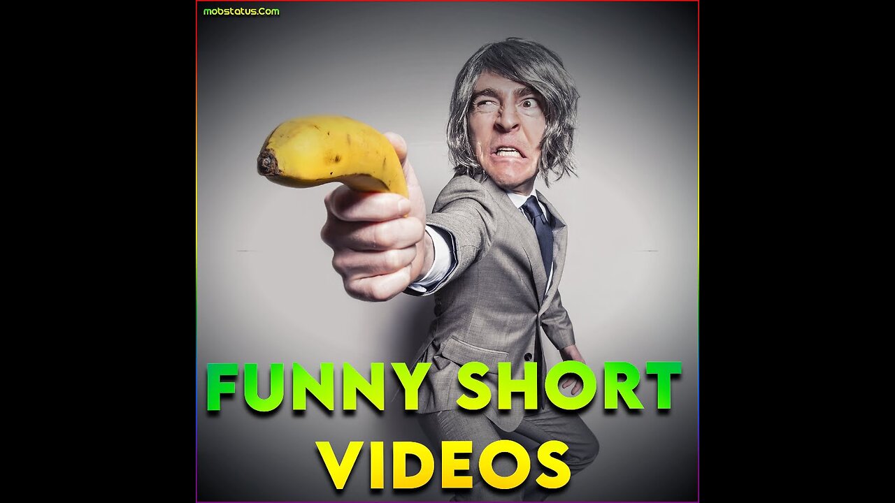 Funny Video _ DONT hide and sit on window