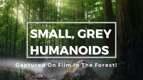 Small, Grey Humanoids Captured on Film In The U.K.