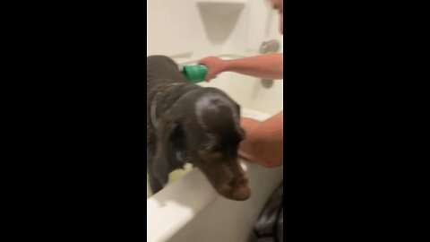 Spanadore Truly Likes Her Bath