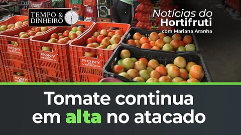 Preço do tomate continua em alta no atacado