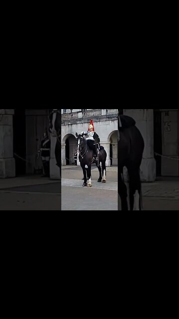 Dismount the Horse #horseguardsparade