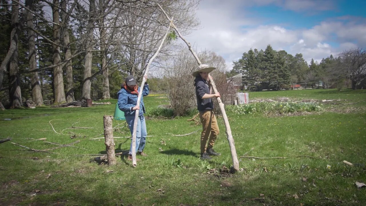 Building a fence on the Homestead out of branches we found on the property.