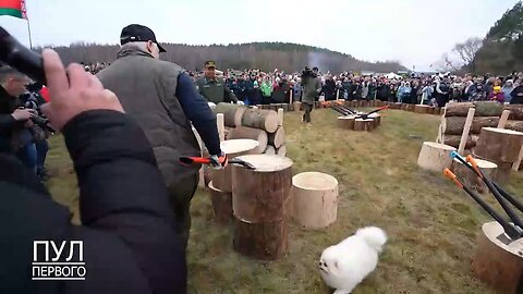 🇧🇾🪓 President Lukashenko doing one of his favorite things