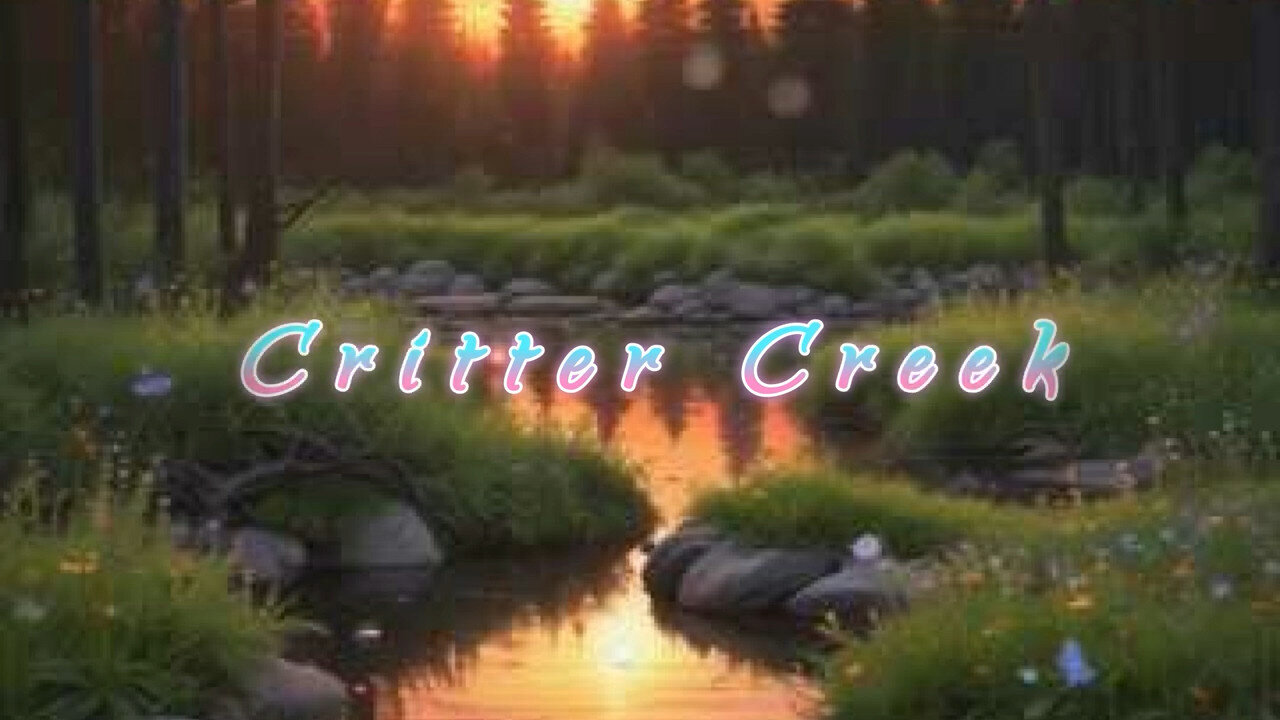 Critter Creek