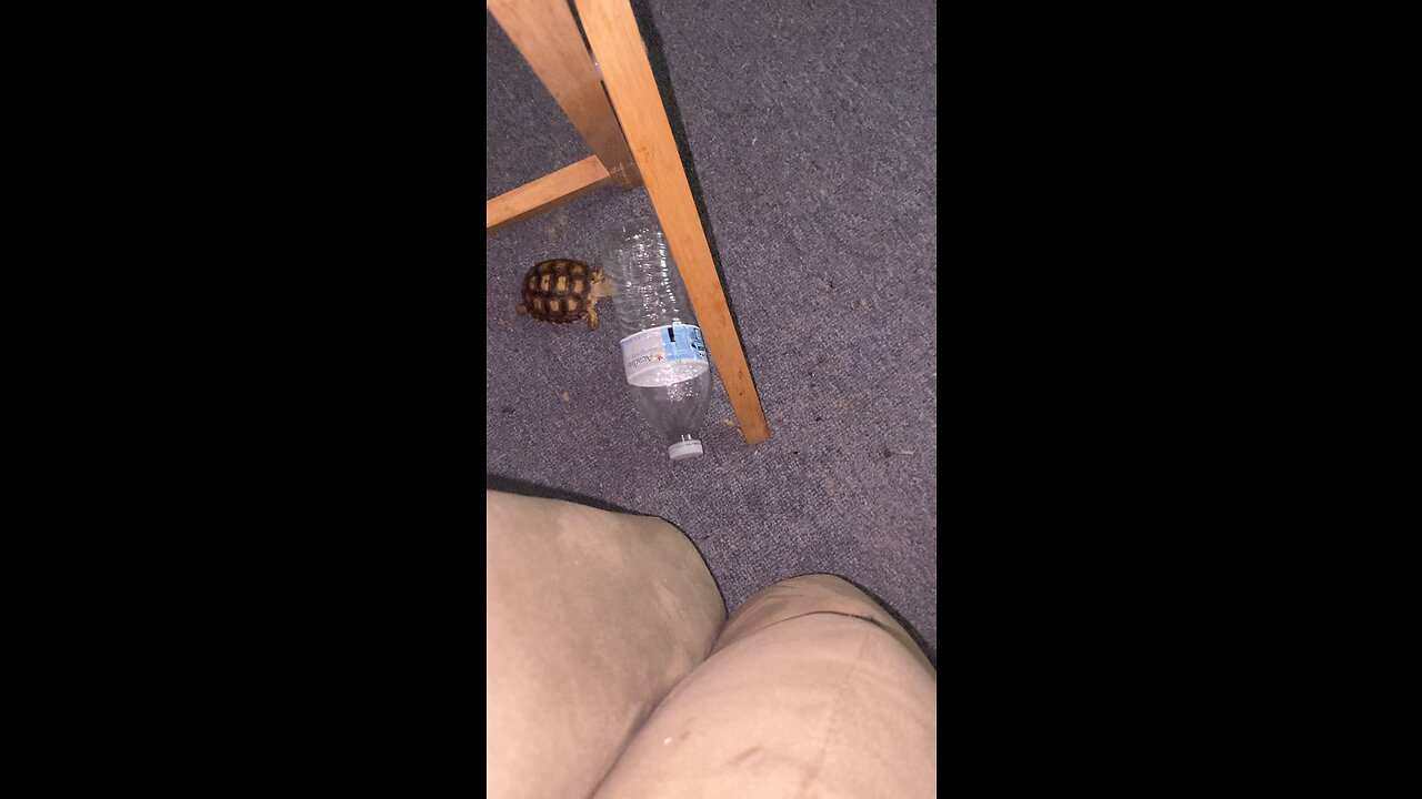 Otis fights a water bottle