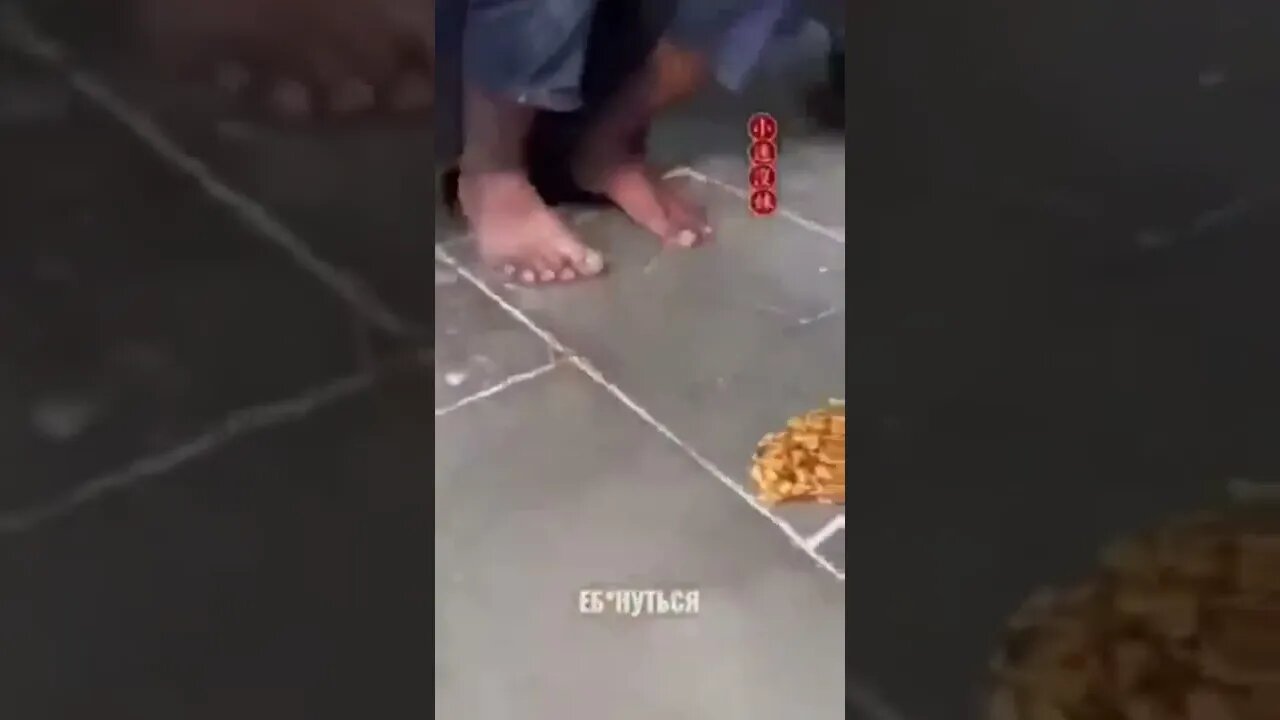 Clean & Clear Foods😂🤣🤣🤣