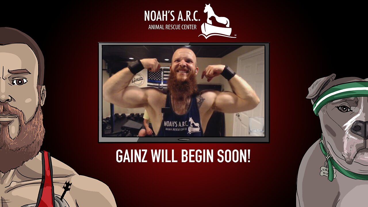 Gym Session w/Hank-a-Tank [Week 23] - Chest & Triceps // Animal Rescue Stream :)