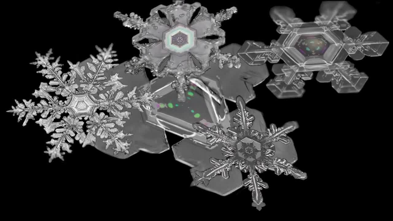 Weather photographer finds new passion in capturing snowflakes