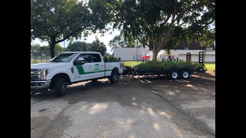 Delray Beach hosts tree giveaway, resource fair event for residents