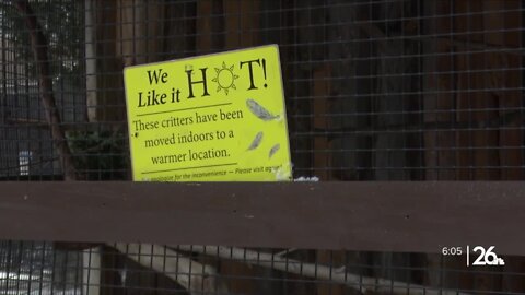 Zookeeping in the sub-zero cold: How the NEW Zoo successfully operates 365 days a year