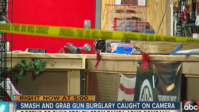 Car crashes into Tampa gun store, suspects get away with weapons, deputies investigating